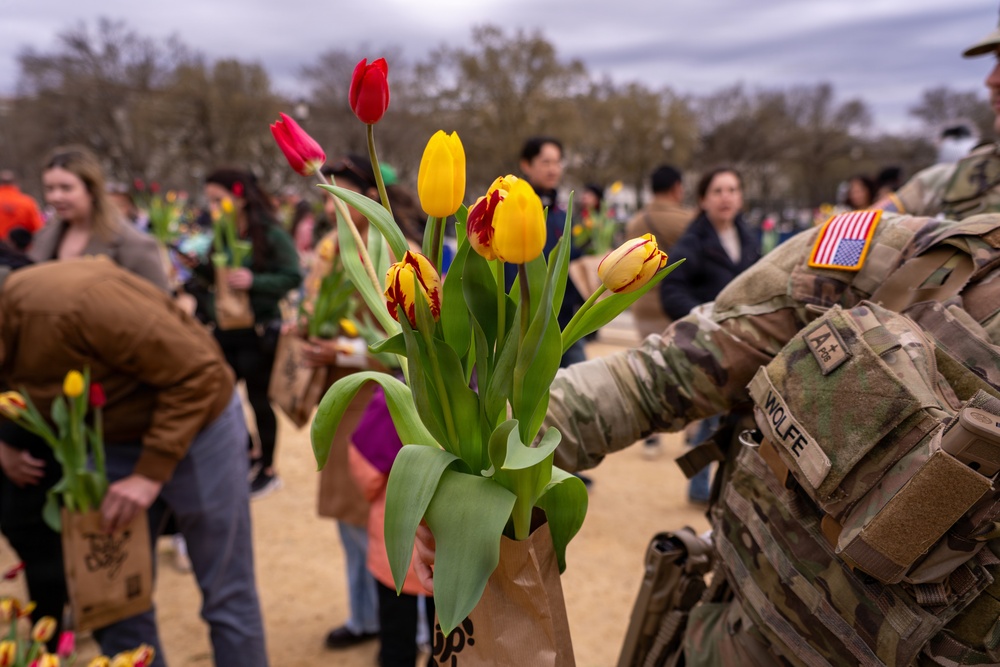 Mississippi National Guard Soldiers join Tulip Day in Washington, D.C.