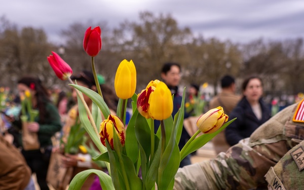 Mississippi National Guard Soldiers join Tulip Day in Washington, D.C.
