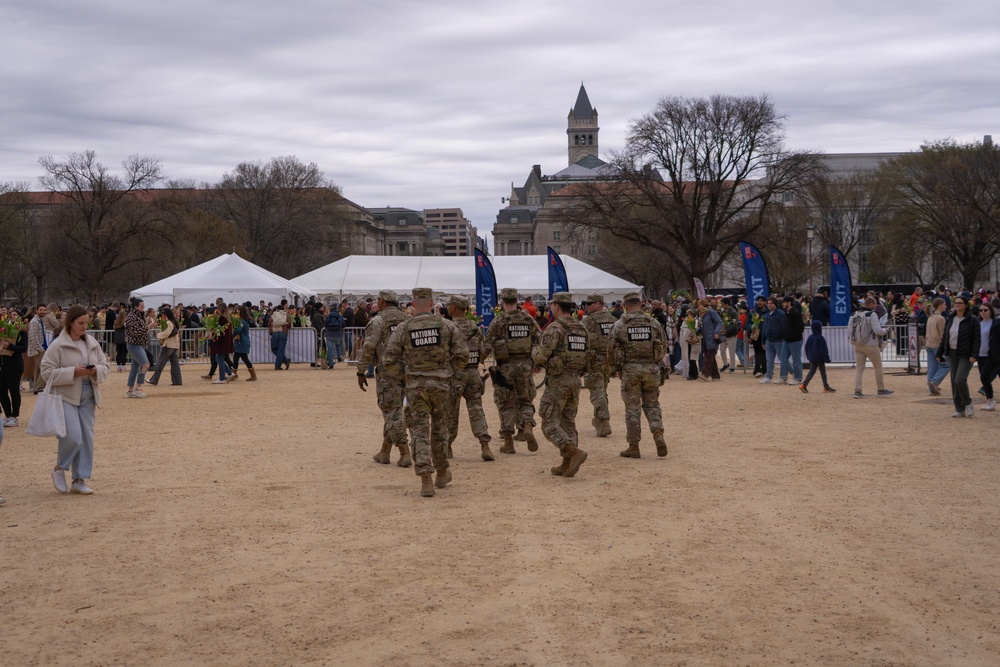 Mississippi National Guard Soldiers patrol on Tulip Day in Washington, D.C.