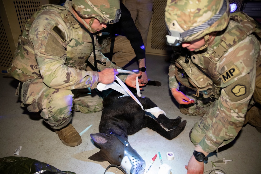Canine Tactical Combat Casualty Care