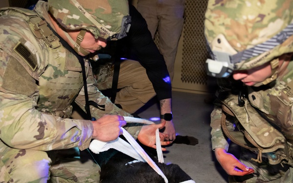 Canine Tactical Combat Casualty Care