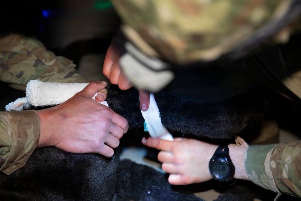 Canine Tactical Combat Casualty Care