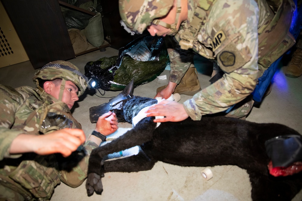 Canine Tactical Combat Casualty Care