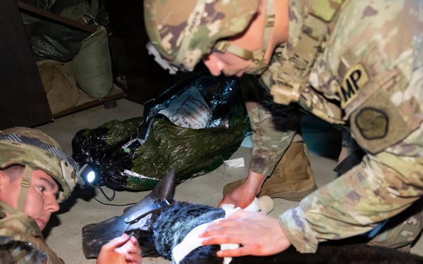 Canine Tactical Combat Casualty Care