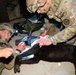 Canine Tactical Combat Casualty Care