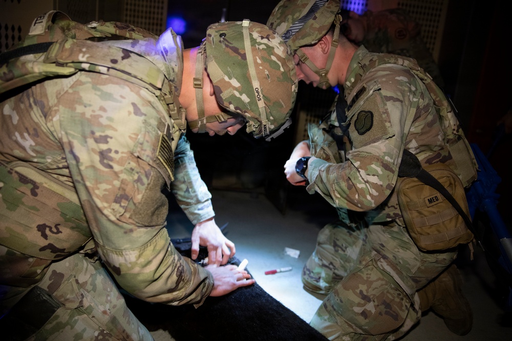 Canine Tactical Combat Casualty Care