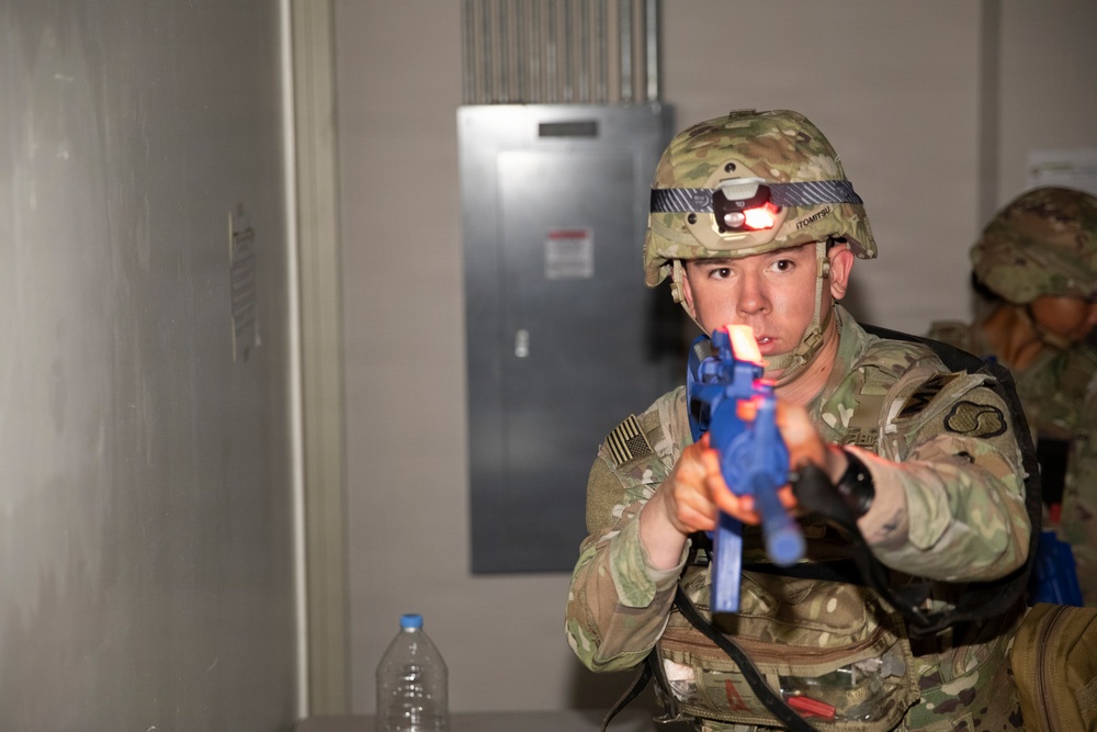 Canine Tactical Combat Casualty Care