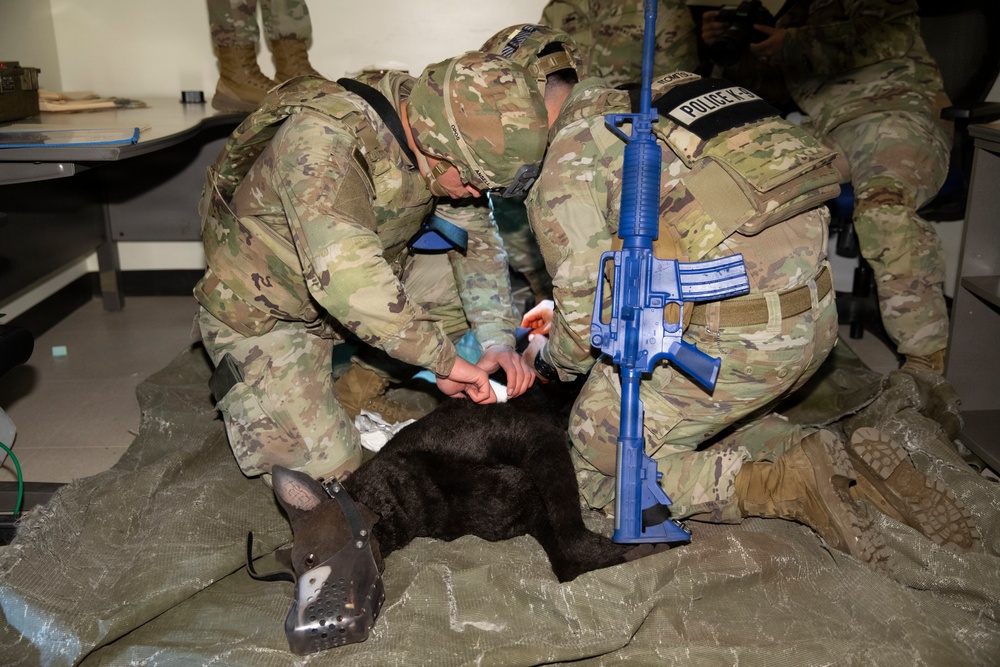 Canine Tactical Combat Casualty Care