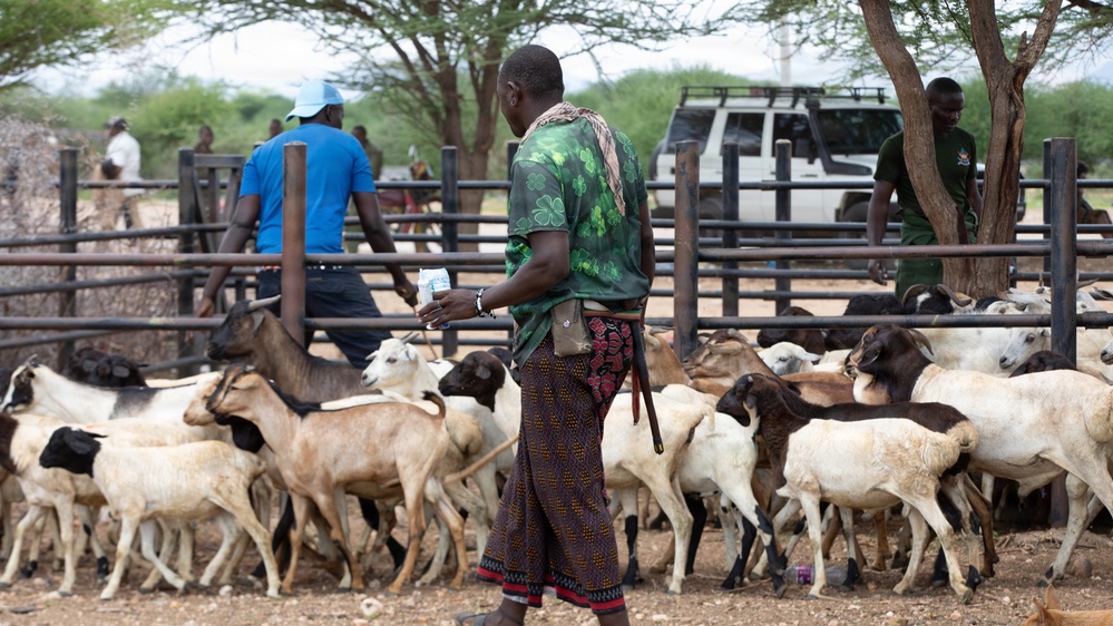 US, Kenya veterinarians strengthen bonds during Day 2 VETCAP Justified Accord 2026