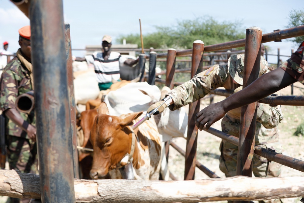 US, Kenya veterinarians strengthen bonds during Day 2 VETCAP Justified Accord 2026