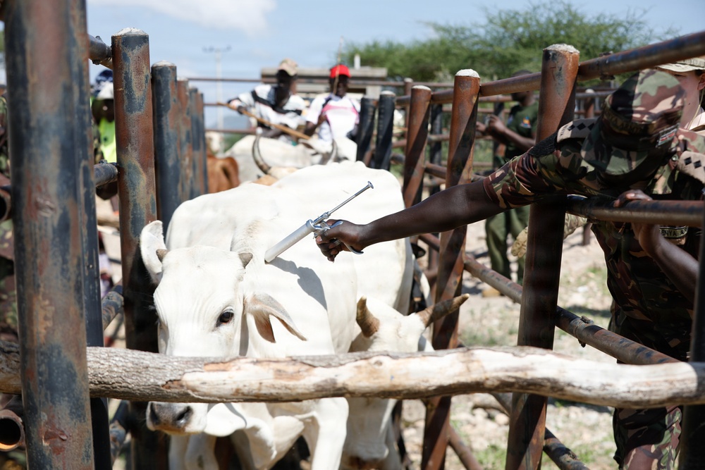US, Kenya veterinarians strengthen bonds during Day 2 VETCAP Justified Accord 2026