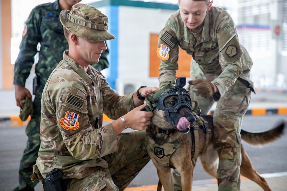 Hanuman Guardian } US - Royal Thai Army military working dog handlers and veterinarian services exchange best practices