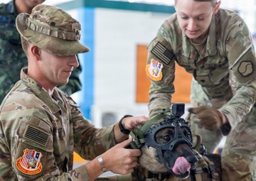 Hanuman Guardian | US - Royal Thai Army military working dog handlers and veterinarian services exchange best practices