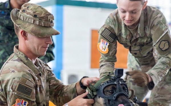 Hanuman Guardian } US - Royal Thai Army military working dog handlers and veterinarian services exchange best practices
