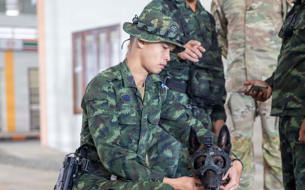Hanuman Guardian | US - Royal Thai Army military working dog handlers and veterinarian services exchange best practices