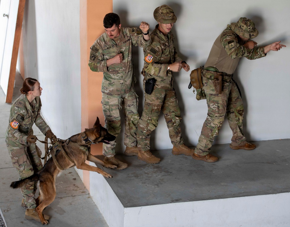 Hanuman Guardian | US - Royal Thai Army military working dog handlers and veterinarian services exchange best practices