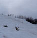 10th Mountain Division Ski Trooper Cup: Winter Ready