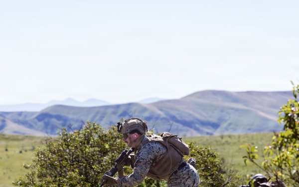 1st Intel Bn conducts  field exercise
