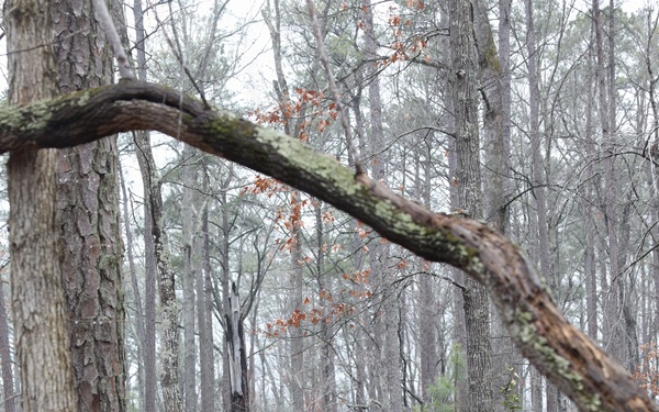 Spc. Jordan Grantano, 780th Military Intelligence Brigade (Cyber) 2026 Best Squad Competition 04