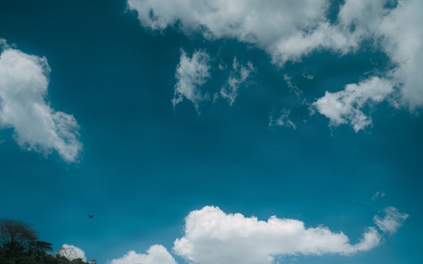 U.S. Army Green Berets Train With Salvadoran Special Operations Forces