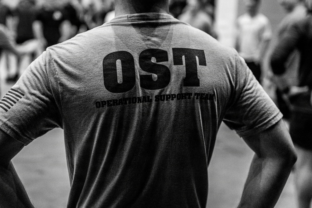 Team Hickam's 647th Security Forces Squadron and 15th Operational Support Team conduct group physical training