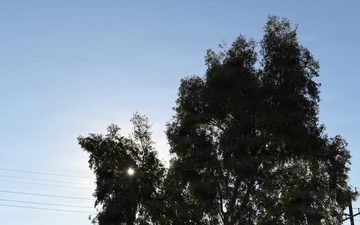 163d ATKW CRI, exercise Grizzly Talon