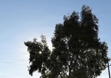 163d ATKW CRI, exercise Grizzly Talon