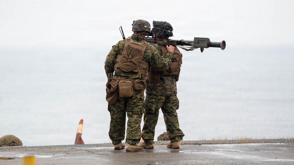 Stinger Live Fire Exercise