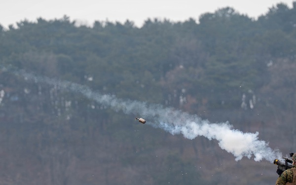 Stinger Live Fire Exercise - Freedom Shield 2026