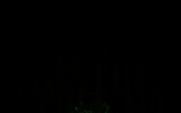 501st Retrograde Training