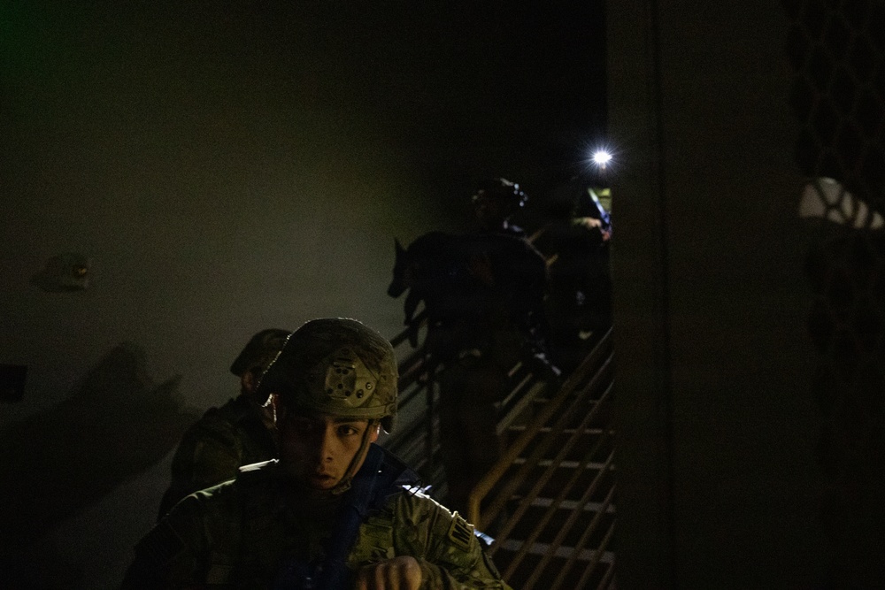 Military Police Canine Handlers Practice Lifesaving Medical Skills on Simulated Canine Casualty