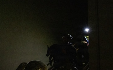 Military Police Canine Handlers Practice Lifesaving Medical Skills on Simulated Canine Casualty