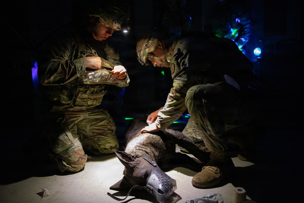 Military Police Canine Handlers Practice Lifesaving Medical Skills on Simulated Canine Casualty