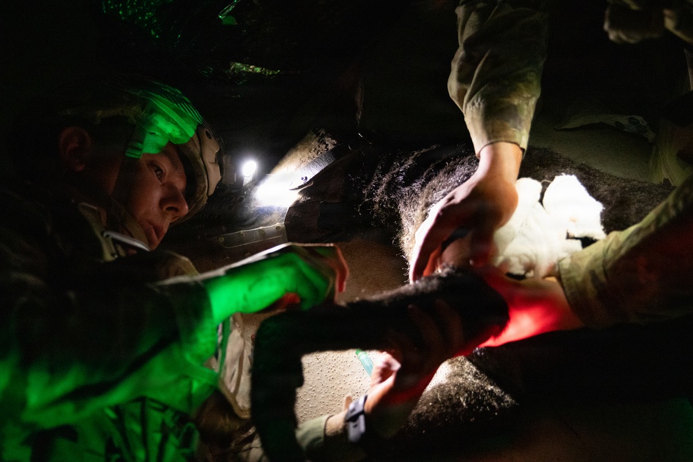 Military Police Canine Handlers Practice Lifesaving Medical Skills on Simulated Canine Casualty