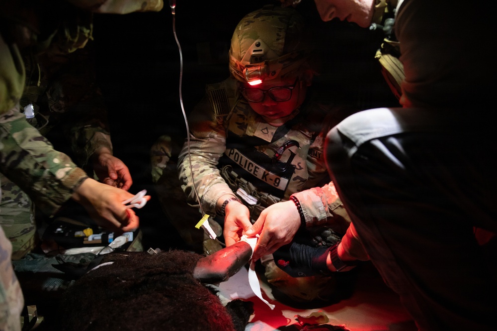 Military Police Canine Handlers Practice Lifesaving Medical Skills on Simulated Canine Casualty
