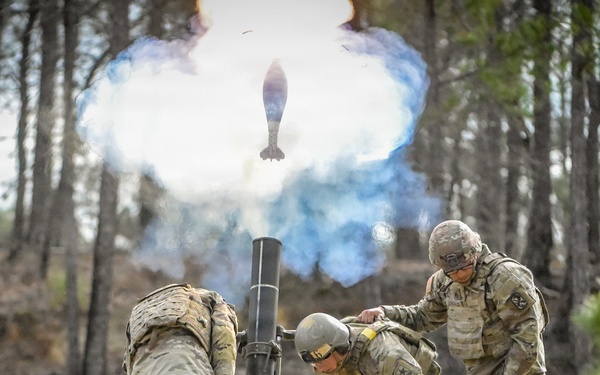 2026 03 11 198th Infantry Brigade Mortar Training