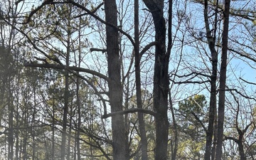 OKGuard conducts wildland firefighting operations in SE Oklahoma