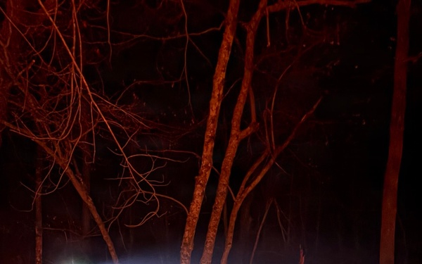 OKGuard conducts wildland firefighting operations in SE Oklahoma