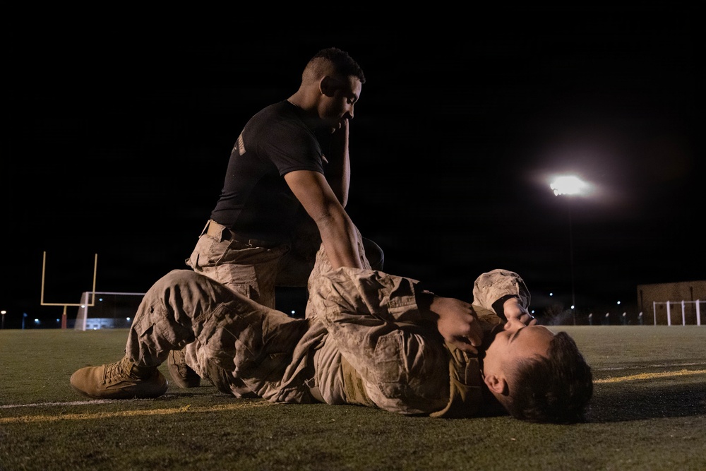 U.S. Marines with 1st CEB conduct Marine Corps Martial Arts Program