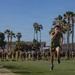 Fast Tracks, Big Blast: Marines with 7th Engineer Support Battalion and 1st Combat Engineer Battalion Participate in a Motivational Run and Competition PT