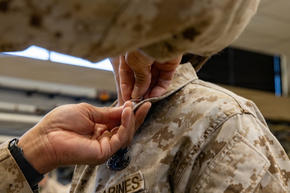 Chief Warrant Officer 5 Timberly Palumbo promotion ceremony