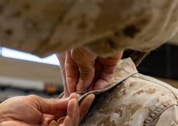 Chief Warrant Officer 5 Timberly Palumbo promotion ceremony