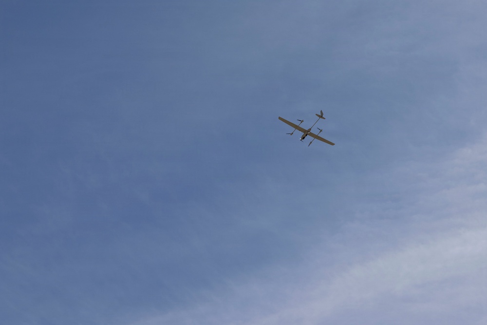U.S. Marines with 3rd LAR prepare for live-fire exercise during NTC 26-05