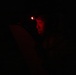 U.S. Marines with 3rd LAR prepare for live-fire exercise during NTC 26-05