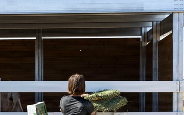 U.S. Marine Corps Mounted Color Guard feeds horses, Mar. 11, 2026