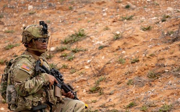 Task Force Seminole validates security operations ahead of Horn of Africa deployment