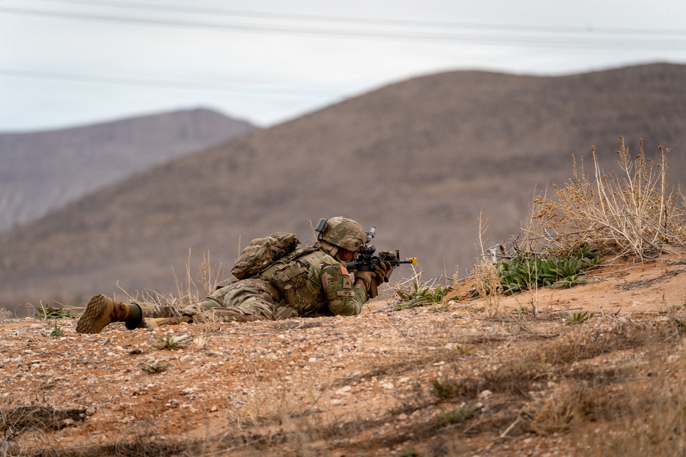 Task Force Seminole validates security operations ahead of Horn of Africa deployment