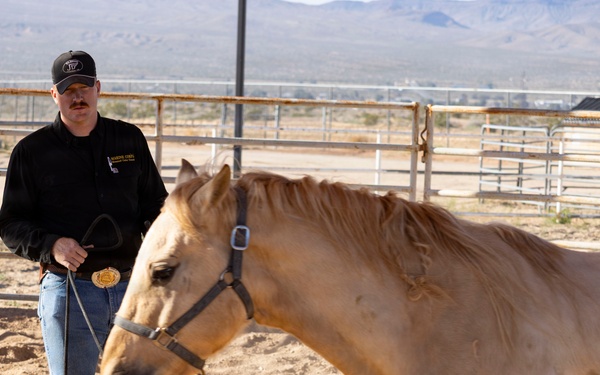 U.S. Marine Corps Mounted Color Guard conducts farrier work