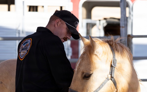 U.S. Marine Corps Mounted Color Guard conducts farrier work
