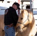 U.S. Marine Corps Mounted Color Guard conducts farrier work